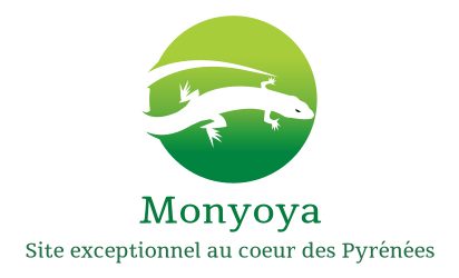 Monyoya